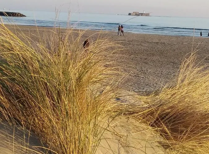 Hébergement de vacances Location Le Samaria 29 - Mail De Rochelongue *