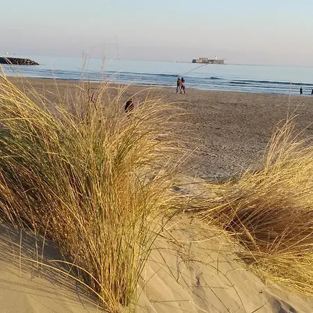 Hébergement de vacances Location Le Samaria 29 - Mail De Rochelongue *