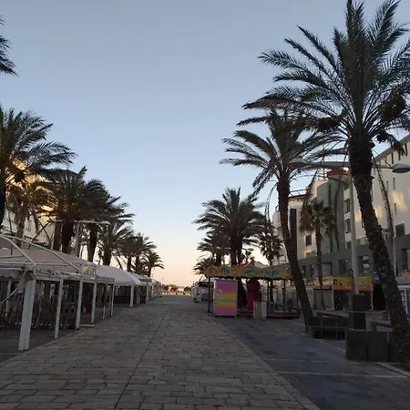 Location Le Samaria 29 - Mail De Rochelongue *